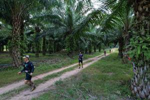 BIB: 
                            <button type="button" onclick="openModal(19589041)" class="btn btn-primary btn-sm float-right btn-popup" data-toggle="modal" data-target=".modal-high-quality">
                        <i class="fas fa-shopping-cart"></i> Add to Cart
                    </button>
                                            <button type="button" onclick="isThisMe(19589041, true)" class="btn btn-success btn-sm float-right btn-popup btn-isme hidden" data-toggle="tooltip" data-placement="bottom" title="นี่คือรูปของคุณใช่ไหม คลิกที่นี่เพื่อเอาเข้าอัลบั้ม">
                        <i class="fas fa-plus"></i> Add to album
                    </button>
                    <button type="button" onclick="isThisMe(19589041, false)" class="btn btn-warning btn-sm float-right btn-popup btn-isnotme hidden">
                        <i class="fas fa-ban"></i> Remove from album
                    </button>