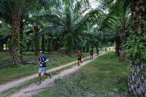 BIB: 
                            <button type="button" onclick="openModal(19589036)" class="btn btn-primary btn-sm float-right btn-popup" data-toggle="modal" data-target=".modal-high-quality">
                        <i class="fas fa-shopping-cart"></i> Add to Cart
                    </button>
                                            <button type="button" onclick="isThisMe(19589036, true)" class="btn btn-success btn-sm float-right btn-popup btn-isme hidden" data-toggle="tooltip" data-placement="bottom" title="นี่คือรูปของคุณใช่ไหม คลิกที่นี่เพื่อเอาเข้าอัลบั้ม">
                        <i class="fas fa-plus"></i> Add to album
                    </button>
                    <button type="button" onclick="isThisMe(19589036, false)" class="btn btn-warning btn-sm float-right btn-popup btn-isnotme hidden">
                        <i class="fas fa-ban"></i> Remove from album
                    </button>