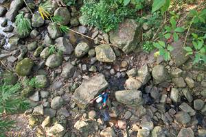 BIB: 
                            <button type="button" onclick="openModal(19589077)" class="btn btn-primary btn-sm float-right btn-popup" data-toggle="modal" data-target=".modal-high-quality">
                        <i class="fas fa-shopping-cart"></i> Add to Cart
                    </button>
                                            <button type="button" onclick="isThisMe(19589077, true)" class="btn btn-success btn-sm float-right btn-popup btn-isme hidden" data-toggle="tooltip" data-placement="bottom" title="นี่คือรูปของคุณใช่ไหม คลิกที่นี่เพื่อเอาเข้าอัลบั้ม">
                        <i class="fas fa-plus"></i> Add to album
                    </button>
                    <button type="button" onclick="isThisMe(19589077, false)" class="btn btn-warning btn-sm float-right btn-popup btn-isnotme hidden">
                        <i class="fas fa-ban"></i> Remove from album
                    </button>