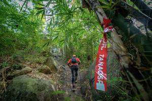 BIB: 
                            <button type="button" onclick="openModal(19589517)" class="btn btn-primary btn-sm float-right btn-popup" data-toggle="modal" data-target=".modal-high-quality">
                        <i class="fas fa-shopping-cart"></i> Add to Cart
                    </button>
                                            <button type="button" onclick="isThisMe(19589517, true)" class="btn btn-success btn-sm float-right btn-popup btn-isme hidden" data-toggle="tooltip" data-placement="bottom" title="นี่คือรูปของคุณใช่ไหม คลิกที่นี่เพื่อเอาเข้าอัลบั้ม">
                        <i class="fas fa-plus"></i> Add to album
                    </button>
                    <button type="button" onclick="isThisMe(19589517, false)" class="btn btn-warning btn-sm float-right btn-popup btn-isnotme hidden">
                        <i class="fas fa-ban"></i> Remove from album
                    </button>