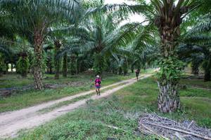 BIB: 
                            <button type="button" onclick="openModal(19589050)" class="btn btn-primary btn-sm float-right btn-popup" data-toggle="modal" data-target=".modal-high-quality">
                        <i class="fas fa-shopping-cart"></i> Add to Cart
                    </button>
                                            <button type="button" onclick="isThisMe(19589050, true)" class="btn btn-success btn-sm float-right btn-popup btn-isme hidden" data-toggle="tooltip" data-placement="bottom" title="นี่คือรูปของคุณใช่ไหม คลิกที่นี่เพื่อเอาเข้าอัลบั้ม">
                        <i class="fas fa-plus"></i> Add to album
                    </button>
                    <button type="button" onclick="isThisMe(19589050, false)" class="btn btn-warning btn-sm float-right btn-popup btn-isnotme hidden">
                        <i class="fas fa-ban"></i> Remove from album
                    </button>