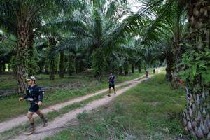 BIB: 
                            <button type="button" onclick="openModal(19589042)" class="btn btn-primary btn-sm float-right btn-popup" data-toggle="modal" data-target=".modal-high-quality">
                        <i class="fas fa-shopping-cart"></i> Add to Cart
                    </button>
                                            <button type="button" onclick="isThisMe(19589042, true)" class="btn btn-success btn-sm float-right btn-popup btn-isme hidden" data-toggle="tooltip" data-placement="bottom" title="นี่คือรูปของคุณใช่ไหม คลิกที่นี่เพื่อเอาเข้าอัลบั้ม">
                        <i class="fas fa-plus"></i> Add to album
                    </button>
                    <button type="button" onclick="isThisMe(19589042, false)" class="btn btn-warning btn-sm float-right btn-popup btn-isnotme hidden">
                        <i class="fas fa-ban"></i> Remove from album
                    </button>