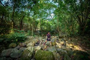 BIB: 
                            <button type="button" onclick="openModal(19589482)" class="btn btn-primary btn-sm float-right btn-popup" data-toggle="modal" data-target=".modal-high-quality">
                        <i class="fas fa-shopping-cart"></i> Add to Cart
                    </button>
                                            <button type="button" onclick="isThisMe(19589482, true)" class="btn btn-success btn-sm float-right btn-popup btn-isme hidden" data-toggle="tooltip" data-placement="bottom" title="นี่คือรูปของคุณใช่ไหม คลิกที่นี่เพื่อเอาเข้าอัลบั้ม">
                        <i class="fas fa-plus"></i> Add to album
                    </button>
                    <button type="button" onclick="isThisMe(19589482, false)" class="btn btn-warning btn-sm float-right btn-popup btn-isnotme hidden">
                        <i class="fas fa-ban"></i> Remove from album
                    </button>