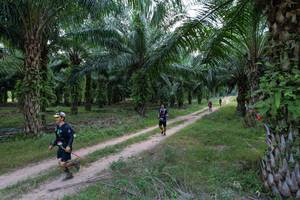 BIB: 
                            <button type="button" onclick="openModal(19589039)" class="btn btn-primary btn-sm float-right btn-popup" data-toggle="modal" data-target=".modal-high-quality">
                        <i class="fas fa-shopping-cart"></i> Add to Cart
                    </button>
                                            <button type="button" onclick="isThisMe(19589039, true)" class="btn btn-success btn-sm float-right btn-popup btn-isme hidden" data-toggle="tooltip" data-placement="bottom" title="นี่คือรูปของคุณใช่ไหม คลิกที่นี่เพื่อเอาเข้าอัลบั้ม">
                        <i class="fas fa-plus"></i> Add to album
                    </button>
                    <button type="button" onclick="isThisMe(19589039, false)" class="btn btn-warning btn-sm float-right btn-popup btn-isnotme hidden">
                        <i class="fas fa-ban"></i> Remove from album
                    </button>