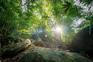 BIB: 
                            <button type="button" onclick="openModal(19589492)" class="btn btn-primary btn-sm float-right btn-popup" data-toggle="modal" data-target=".modal-high-quality">
                        <i class="fas fa-shopping-cart"></i> Add to Cart
                    </button>
                                            <button type="button" onclick="isThisMe(19589492, true)" class="btn btn-success btn-sm float-right btn-popup btn-isme hidden" data-toggle="tooltip" data-placement="bottom" title="นี่คือรูปของคุณใช่ไหม คลิกที่นี่เพื่อเอาเข้าอัลบั้ม">
                        <i class="fas fa-plus"></i> Add to album
                    </button>
                    <button type="button" onclick="isThisMe(19589492, false)" class="btn btn-warning btn-sm float-right btn-popup btn-isnotme hidden">
                        <i class="fas fa-ban"></i> Remove from album
                    </button>