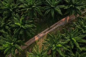 BIB: 
                            <button type="button" onclick="openModal(19589032)" class="btn btn-primary btn-sm float-right btn-popup" data-toggle="modal" data-target=".modal-high-quality">
                        <i class="fas fa-shopping-cart"></i> Add to Cart
                    </button>
                                            <button type="button" onclick="isThisMe(19589032, true)" class="btn btn-success btn-sm float-right btn-popup btn-isme hidden" data-toggle="tooltip" data-placement="bottom" title="นี่คือรูปของคุณใช่ไหม คลิกที่นี่เพื่อเอาเข้าอัลบั้ม">
                        <i class="fas fa-plus"></i> Add to album
                    </button>
                    <button type="button" onclick="isThisMe(19589032, false)" class="btn btn-warning btn-sm float-right btn-popup btn-isnotme hidden">
                        <i class="fas fa-ban"></i> Remove from album
                    </button>