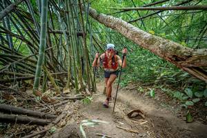 BIB: 
                            <button type="button" onclick="openModal(19589448)" class="btn btn-primary btn-sm float-right btn-popup" data-toggle="modal" data-target=".modal-high-quality">
                        <i class="fas fa-shopping-cart"></i> Add to Cart
                    </button>
                                            <button type="button" onclick="isThisMe(19589448, true)" class="btn btn-success btn-sm float-right btn-popup btn-isme hidden" data-toggle="tooltip" data-placement="bottom" title="นี่คือรูปของคุณใช่ไหม คลิกที่นี่เพื่อเอาเข้าอัลบั้ม">
                        <i class="fas fa-plus"></i> Add to album
                    </button>
                    <button type="button" onclick="isThisMe(19589448, false)" class="btn btn-warning btn-sm float-right btn-popup btn-isnotme hidden">
                        <i class="fas fa-ban"></i> Remove from album
                    </button>