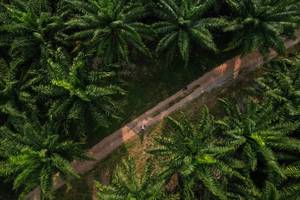 BIB: 
                            <button type="button" onclick="openModal(19589028)" class="btn btn-primary btn-sm float-right btn-popup" data-toggle="modal" data-target=".modal-high-quality">
                        <i class="fas fa-shopping-cart"></i> Add to Cart
                    </button>
                                            <button type="button" onclick="isThisMe(19589028, true)" class="btn btn-success btn-sm float-right btn-popup btn-isme hidden" data-toggle="tooltip" data-placement="bottom" title="นี่คือรูปของคุณใช่ไหม คลิกที่นี่เพื่อเอาเข้าอัลบั้ม">
                        <i class="fas fa-plus"></i> Add to album
                    </button>
                    <button type="button" onclick="isThisMe(19589028, false)" class="btn btn-warning btn-sm float-right btn-popup btn-isnotme hidden">
                        <i class="fas fa-ban"></i> Remove from album
                    </button>