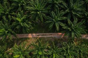 BIB: 
                            <button type="button" onclick="openModal(19589018)" class="btn btn-primary btn-sm float-right btn-popup" data-toggle="modal" data-target=".modal-high-quality">
                        <i class="fas fa-shopping-cart"></i> Add to Cart
                    </button>
                                            <button type="button" onclick="isThisMe(19589018, true)" class="btn btn-success btn-sm float-right btn-popup btn-isme hidden" data-toggle="tooltip" data-placement="bottom" title="นี่คือรูปของคุณใช่ไหม คลิกที่นี่เพื่อเอาเข้าอัลบั้ม">
                        <i class="fas fa-plus"></i> Add to album
                    </button>
                    <button type="button" onclick="isThisMe(19589018, false)" class="btn btn-warning btn-sm float-right btn-popup btn-isnotme hidden">
                        <i class="fas fa-ban"></i> Remove from album
                    </button>