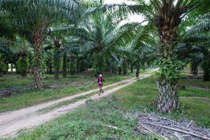 BIB: 
                            <button type="button" onclick="openModal(19589044)" class="btn btn-primary btn-sm float-right btn-popup" data-toggle="modal" data-target=".modal-high-quality">
                        <i class="fas fa-shopping-cart"></i> Add to Cart
                    </button>
                                            <button type="button" onclick="isThisMe(19589044, true)" class="btn btn-success btn-sm float-right btn-popup btn-isme hidden" data-toggle="tooltip" data-placement="bottom" title="นี่คือรูปของคุณใช่ไหม คลิกที่นี่เพื่อเอาเข้าอัลบั้ม">
                        <i class="fas fa-plus"></i> Add to album
                    </button>
                    <button type="button" onclick="isThisMe(19589044, false)" class="btn btn-warning btn-sm float-right btn-popup btn-isnotme hidden">
                        <i class="fas fa-ban"></i> Remove from album
                    </button>