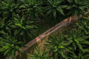 BIB: 
                            <button type="button" onclick="openModal(19589029)" class="btn btn-primary btn-sm float-right btn-popup" data-toggle="modal" data-target=".modal-high-quality">
                        <i class="fas fa-shopping-cart"></i> Add to Cart
                    </button>
                                            <button type="button" onclick="isThisMe(19589029, true)" class="btn btn-success btn-sm float-right btn-popup btn-isme hidden" data-toggle="tooltip" data-placement="bottom" title="นี่คือรูปของคุณใช่ไหม คลิกที่นี่เพื่อเอาเข้าอัลบั้ม">
                        <i class="fas fa-plus"></i> Add to album
                    </button>
                    <button type="button" onclick="isThisMe(19589029, false)" class="btn btn-warning btn-sm float-right btn-popup btn-isnotme hidden">
                        <i class="fas fa-ban"></i> Remove from album
                    </button>