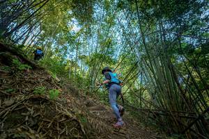 BIB: 
                            <button type="button" onclick="openModal(19592143)" class="btn btn-primary btn-sm float-right btn-popup" data-toggle="modal" data-target=".modal-high-quality">
                        <i class="fas fa-shopping-cart"></i> Add to Cart
                    </button>
                                            <button type="button" onclick="isThisMe(19592143, true)" class="btn btn-success btn-sm float-right btn-popup btn-isme hidden" data-toggle="tooltip" data-placement="bottom" title="นี่คือรูปของคุณใช่ไหม คลิกที่นี่เพื่อเอาเข้าอัลบั้ม">
                        <i class="fas fa-plus"></i> Add to album
                    </button>
                    <button type="button" onclick="isThisMe(19592143, false)" class="btn btn-warning btn-sm float-right btn-popup btn-isnotme hidden">
                        <i class="fas fa-ban"></i> Remove from album
                    </button>