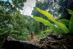 BIB: 
                            <button type="button" onclick="openModal(19592179)" class="btn btn-primary btn-sm float-right btn-popup" data-toggle="modal" data-target=".modal-high-quality">
                        <i class="fas fa-shopping-cart"></i> Add to Cart
                    </button>
                                            <button type="button" onclick="isThisMe(19592179, true)" class="btn btn-success btn-sm float-right btn-popup btn-isme hidden" data-toggle="tooltip" data-placement="bottom" title="นี่คือรูปของคุณใช่ไหม คลิกที่นี่เพื่อเอาเข้าอัลบั้ม">
                        <i class="fas fa-plus"></i> Add to album
                    </button>
                    <button type="button" onclick="isThisMe(19592179, false)" class="btn btn-warning btn-sm float-right btn-popup btn-isnotme hidden">
                        <i class="fas fa-ban"></i> Remove from album
                    </button>