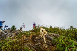 BIB: 
                            <button type="button" onclick="openModal(19592217)" class="btn btn-primary btn-sm float-right btn-popup" data-toggle="modal" data-target=".modal-high-quality">
                        <i class="fas fa-shopping-cart"></i> Add to Cart
                    </button>
                                            <button type="button" onclick="isThisMe(19592217, true)" class="btn btn-success btn-sm float-right btn-popup btn-isme hidden" data-toggle="tooltip" data-placement="bottom" title="นี่คือรูปของคุณใช่ไหม คลิกที่นี่เพื่อเอาเข้าอัลบั้ม">
                        <i class="fas fa-plus"></i> Add to album
                    </button>
                    <button type="button" onclick="isThisMe(19592217, false)" class="btn btn-warning btn-sm float-right btn-popup btn-isnotme hidden">
                        <i class="fas fa-ban"></i> Remove from album
                    </button>