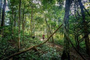 BIB: 
                            <button type="button" onclick="openModal(19592162)" class="btn btn-primary btn-sm float-right btn-popup" data-toggle="modal" data-target=".modal-high-quality">
                        <i class="fas fa-shopping-cart"></i> Add to Cart
                    </button>
                                            <button type="button" onclick="isThisMe(19592162, true)" class="btn btn-success btn-sm float-right btn-popup btn-isme hidden" data-toggle="tooltip" data-placement="bottom" title="นี่คือรูปของคุณใช่ไหม คลิกที่นี่เพื่อเอาเข้าอัลบั้ม">
                        <i class="fas fa-plus"></i> Add to album
                    </button>
                    <button type="button" onclick="isThisMe(19592162, false)" class="btn btn-warning btn-sm float-right btn-popup btn-isnotme hidden">
                        <i class="fas fa-ban"></i> Remove from album
                    </button>