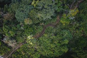 BIB: 
                            <button type="button" onclick="openModal(19592017)" class="btn btn-primary btn-sm float-right btn-popup" data-toggle="modal" data-target=".modal-high-quality">
                        <i class="fas fa-shopping-cart"></i> Add to Cart
                    </button>
                                            <button type="button" onclick="isThisMe(19592017, true)" class="btn btn-success btn-sm float-right btn-popup btn-isme hidden" data-toggle="tooltip" data-placement="bottom" title="นี่คือรูปของคุณใช่ไหม คลิกที่นี่เพื่อเอาเข้าอัลบั้ม">
                        <i class="fas fa-plus"></i> Add to album
                    </button>
                    <button type="button" onclick="isThisMe(19592017, false)" class="btn btn-warning btn-sm float-right btn-popup btn-isnotme hidden">
                        <i class="fas fa-ban"></i> Remove from album
                    </button>