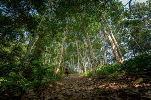 BIB: 
                            <button type="button" onclick="openModal(19592165)" class="btn btn-primary btn-sm float-right btn-popup" data-toggle="modal" data-target=".modal-high-quality">
                        <i class="fas fa-shopping-cart"></i> Add to Cart
                    </button>
                                            <button type="button" onclick="isThisMe(19592165, true)" class="btn btn-success btn-sm float-right btn-popup btn-isme hidden" data-toggle="tooltip" data-placement="bottom" title="นี่คือรูปของคุณใช่ไหม คลิกที่นี่เพื่อเอาเข้าอัลบั้ม">
                        <i class="fas fa-plus"></i> Add to album
                    </button>
                    <button type="button" onclick="isThisMe(19592165, false)" class="btn btn-warning btn-sm float-right btn-popup btn-isnotme hidden">
                        <i class="fas fa-ban"></i> Remove from album
                    </button>