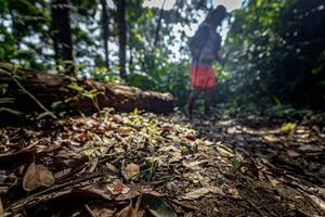 BIB: 
                            <button type="button" onclick="openModal(19592182)" class="btn btn-primary btn-sm float-right btn-popup" data-toggle="modal" data-target=".modal-high-quality">
                        <i class="fas fa-shopping-cart"></i> Add to Cart
                    </button>
                                            <button type="button" onclick="isThisMe(19592182, true)" class="btn btn-success btn-sm float-right btn-popup btn-isme hidden" data-toggle="tooltip" data-placement="bottom" title="นี่คือรูปของคุณใช่ไหม คลิกที่นี่เพื่อเอาเข้าอัลบั้ม">
                        <i class="fas fa-plus"></i> Add to album
                    </button>
                    <button type="button" onclick="isThisMe(19592182, false)" class="btn btn-warning btn-sm float-right btn-popup btn-isnotme hidden">
                        <i class="fas fa-ban"></i> Remove from album
                    </button>