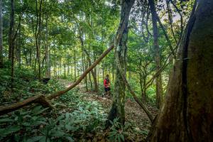 BIB: 
                            <button type="button" onclick="openModal(19592163)" class="btn btn-primary btn-sm float-right btn-popup" data-toggle="modal" data-target=".modal-high-quality">
                        <i class="fas fa-shopping-cart"></i> Add to Cart
                    </button>
                                            <button type="button" onclick="isThisMe(19592163, true)" class="btn btn-success btn-sm float-right btn-popup btn-isme hidden" data-toggle="tooltip" data-placement="bottom" title="นี่คือรูปของคุณใช่ไหม คลิกที่นี่เพื่อเอาเข้าอัลบั้ม">
                        <i class="fas fa-plus"></i> Add to album
                    </button>
                    <button type="button" onclick="isThisMe(19592163, false)" class="btn btn-warning btn-sm float-right btn-popup btn-isnotme hidden">
                        <i class="fas fa-ban"></i> Remove from album
                    </button>