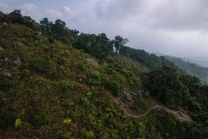 BIB: 
                            <button type="button" onclick="openModal(19592015)" class="btn btn-primary btn-sm float-right btn-popup" data-toggle="modal" data-target=".modal-high-quality">
                        <i class="fas fa-shopping-cart"></i> Add to Cart
                    </button>
                                            <button type="button" onclick="isThisMe(19592015, true)" class="btn btn-success btn-sm float-right btn-popup btn-isme hidden" data-toggle="tooltip" data-placement="bottom" title="นี่คือรูปของคุณใช่ไหม คลิกที่นี่เพื่อเอาเข้าอัลบั้ม">
                        <i class="fas fa-plus"></i> Add to album
                    </button>
                    <button type="button" onclick="isThisMe(19592015, false)" class="btn btn-warning btn-sm float-right btn-popup btn-isnotme hidden">
                        <i class="fas fa-ban"></i> Remove from album
                    </button>