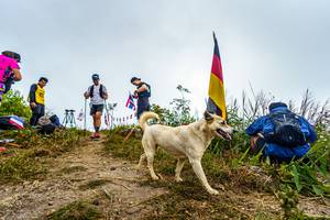 BIB: 
                            <button type="button" onclick="openModal(19592214)" class="btn btn-primary btn-sm float-right btn-popup" data-toggle="modal" data-target=".modal-high-quality">
                        <i class="fas fa-shopping-cart"></i> Add to Cart
                    </button>
                                            <button type="button" onclick="isThisMe(19592214, true)" class="btn btn-success btn-sm float-right btn-popup btn-isme hidden" data-toggle="tooltip" data-placement="bottom" title="นี่คือรูปของคุณใช่ไหม คลิกที่นี่เพื่อเอาเข้าอัลบั้ม">
                        <i class="fas fa-plus"></i> Add to album
                    </button>
                    <button type="button" onclick="isThisMe(19592214, false)" class="btn btn-warning btn-sm float-right btn-popup btn-isnotme hidden">
                        <i class="fas fa-ban"></i> Remove from album
                    </button>