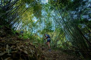 BIB: 
                            <button type="button" onclick="openModal(19592151)" class="btn btn-primary btn-sm float-right btn-popup" data-toggle="modal" data-target=".modal-high-quality">
                        <i class="fas fa-shopping-cart"></i> Add to Cart
                    </button>
                                            <button type="button" onclick="isThisMe(19592151, true)" class="btn btn-success btn-sm float-right btn-popup btn-isme hidden" data-toggle="tooltip" data-placement="bottom" title="นี่คือรูปของคุณใช่ไหม คลิกที่นี่เพื่อเอาเข้าอัลบั้ม">
                        <i class="fas fa-plus"></i> Add to album
                    </button>
                    <button type="button" onclick="isThisMe(19592151, false)" class="btn btn-warning btn-sm float-right btn-popup btn-isnotme hidden">
                        <i class="fas fa-ban"></i> Remove from album
                    </button>