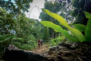 BIB: 
                            <button type="button" onclick="openModal(19592175)" class="btn btn-primary btn-sm float-right btn-popup" data-toggle="modal" data-target=".modal-high-quality">
                        <i class="fas fa-shopping-cart"></i> Add to Cart
                    </button>
                                            <button type="button" onclick="isThisMe(19592175, true)" class="btn btn-success btn-sm float-right btn-popup btn-isme hidden" data-toggle="tooltip" data-placement="bottom" title="นี่คือรูปของคุณใช่ไหม คลิกที่นี่เพื่อเอาเข้าอัลบั้ม">
                        <i class="fas fa-plus"></i> Add to album
                    </button>
                    <button type="button" onclick="isThisMe(19592175, false)" class="btn btn-warning btn-sm float-right btn-popup btn-isnotme hidden">
                        <i class="fas fa-ban"></i> Remove from album
                    </button>