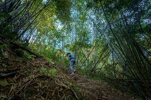 BIB: 
                            <button type="button" onclick="openModal(19592147)" class="btn btn-primary btn-sm float-right btn-popup" data-toggle="modal" data-target=".modal-high-quality">
                        <i class="fas fa-shopping-cart"></i> Add to Cart
                    </button>
                                            <button type="button" onclick="isThisMe(19592147, true)" class="btn btn-success btn-sm float-right btn-popup btn-isme hidden" data-toggle="tooltip" data-placement="bottom" title="นี่คือรูปของคุณใช่ไหม คลิกที่นี่เพื่อเอาเข้าอัลบั้ม">
                        <i class="fas fa-plus"></i> Add to album
                    </button>
                    <button type="button" onclick="isThisMe(19592147, false)" class="btn btn-warning btn-sm float-right btn-popup btn-isnotme hidden">
                        <i class="fas fa-ban"></i> Remove from album
                    </button>