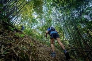 BIB: 
                            <button type="button" onclick="openModal(19592150)" class="btn btn-primary btn-sm float-right btn-popup" data-toggle="modal" data-target=".modal-high-quality">
                        <i class="fas fa-shopping-cart"></i> Add to Cart
                    </button>
                                            <button type="button" onclick="isThisMe(19592150, true)" class="btn btn-success btn-sm float-right btn-popup btn-isme hidden" data-toggle="tooltip" data-placement="bottom" title="นี่คือรูปของคุณใช่ไหม คลิกที่นี่เพื่อเอาเข้าอัลบั้ม">
                        <i class="fas fa-plus"></i> Add to album
                    </button>
                    <button type="button" onclick="isThisMe(19592150, false)" class="btn btn-warning btn-sm float-right btn-popup btn-isnotme hidden">
                        <i class="fas fa-ban"></i> Remove from album
                    </button>