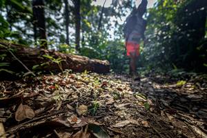 BIB: 
                            <button type="button" onclick="openModal(19592183)" class="btn btn-primary btn-sm float-right btn-popup" data-toggle="modal" data-target=".modal-high-quality">
                        <i class="fas fa-shopping-cart"></i> Add to Cart
                    </button>
                                            <button type="button" onclick="isThisMe(19592183, true)" class="btn btn-success btn-sm float-right btn-popup btn-isme hidden" data-toggle="tooltip" data-placement="bottom" title="นี่คือรูปของคุณใช่ไหม คลิกที่นี่เพื่อเอาเข้าอัลบั้ม">
                        <i class="fas fa-plus"></i> Add to album
                    </button>
                    <button type="button" onclick="isThisMe(19592183, false)" class="btn btn-warning btn-sm float-right btn-popup btn-isnotme hidden">
                        <i class="fas fa-ban"></i> Remove from album
                    </button>