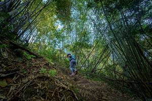 BIB: 
                            <button type="button" onclick="openModal(19592146)" class="btn btn-primary btn-sm float-right btn-popup" data-toggle="modal" data-target=".modal-high-quality">
                        <i class="fas fa-shopping-cart"></i> Add to Cart
                    </button>
                                            <button type="button" onclick="isThisMe(19592146, true)" class="btn btn-success btn-sm float-right btn-popup btn-isme hidden" data-toggle="tooltip" data-placement="bottom" title="นี่คือรูปของคุณใช่ไหม คลิกที่นี่เพื่อเอาเข้าอัลบั้ม">
                        <i class="fas fa-plus"></i> Add to album
                    </button>
                    <button type="button" onclick="isThisMe(19592146, false)" class="btn btn-warning btn-sm float-right btn-popup btn-isnotme hidden">
                        <i class="fas fa-ban"></i> Remove from album
                    </button>