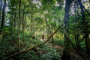 BIB: 
                            <button type="button" onclick="openModal(19592159)" class="btn btn-primary btn-sm float-right btn-popup" data-toggle="modal" data-target=".modal-high-quality">
                        <i class="fas fa-shopping-cart"></i> Add to Cart
                    </button>
                                            <button type="button" onclick="isThisMe(19592159, true)" class="btn btn-success btn-sm float-right btn-popup btn-isme hidden" data-toggle="tooltip" data-placement="bottom" title="นี่คือรูปของคุณใช่ไหม คลิกที่นี่เพื่อเอาเข้าอัลบั้ม">
                        <i class="fas fa-plus"></i> Add to album
                    </button>
                    <button type="button" onclick="isThisMe(19592159, false)" class="btn btn-warning btn-sm float-right btn-popup btn-isnotme hidden">
                        <i class="fas fa-ban"></i> Remove from album
                    </button>