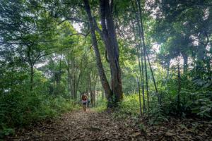 BIB: 
                            <button type="button" onclick="openModal(19592171)" class="btn btn-primary btn-sm float-right btn-popup" data-toggle="modal" data-target=".modal-high-quality">
                        <i class="fas fa-shopping-cart"></i> Add to Cart
                    </button>
                                            <button type="button" onclick="isThisMe(19592171, true)" class="btn btn-success btn-sm float-right btn-popup btn-isme hidden" data-toggle="tooltip" data-placement="bottom" title="นี่คือรูปของคุณใช่ไหม คลิกที่นี่เพื่อเอาเข้าอัลบั้ม">
                        <i class="fas fa-plus"></i> Add to album
                    </button>
                    <button type="button" onclick="isThisMe(19592171, false)" class="btn btn-warning btn-sm float-right btn-popup btn-isnotme hidden">
                        <i class="fas fa-ban"></i> Remove from album
                    </button>