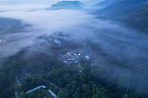 BIB: 
                            <button type="button" onclick="openModal(19591981)" class="btn btn-primary btn-sm float-right btn-popup" data-toggle="modal" data-target=".modal-high-quality">
                        <i class="fas fa-shopping-cart"></i> Add to Cart
                    </button>
                                            <button type="button" onclick="isThisMe(19591981, true)" class="btn btn-success btn-sm float-right btn-popup btn-isme hidden" data-toggle="tooltip" data-placement="bottom" title="นี่คือรูปของคุณใช่ไหม คลิกที่นี่เพื่อเอาเข้าอัลบั้ม">
                        <i class="fas fa-plus"></i> Add to album
                    </button>
                    <button type="button" onclick="isThisMe(19591981, false)" class="btn btn-warning btn-sm float-right btn-popup btn-isnotme hidden">
                        <i class="fas fa-ban"></i> Remove from album
                    </button>