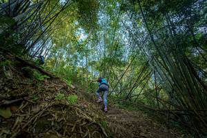 BIB: 
                            <button type="button" onclick="openModal(19592141)" class="btn btn-primary btn-sm float-right btn-popup" data-toggle="modal" data-target=".modal-high-quality">
                        <i class="fas fa-shopping-cart"></i> Add to Cart
                    </button>
                                            <button type="button" onclick="isThisMe(19592141, true)" class="btn btn-success btn-sm float-right btn-popup btn-isme hidden" data-toggle="tooltip" data-placement="bottom" title="นี่คือรูปของคุณใช่ไหม คลิกที่นี่เพื่อเอาเข้าอัลบั้ม">
                        <i class="fas fa-plus"></i> Add to album
                    </button>
                    <button type="button" onclick="isThisMe(19592141, false)" class="btn btn-warning btn-sm float-right btn-popup btn-isnotme hidden">
                        <i class="fas fa-ban"></i> Remove from album
                    </button>