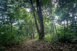 BIB: 
                            <button type="button" onclick="openModal(19592166)" class="btn btn-primary btn-sm float-right btn-popup" data-toggle="modal" data-target=".modal-high-quality">
                        <i class="fas fa-shopping-cart"></i> Add to Cart
                    </button>
                                            <button type="button" onclick="isThisMe(19592166, true)" class="btn btn-success btn-sm float-right btn-popup btn-isme hidden" data-toggle="tooltip" data-placement="bottom" title="นี่คือรูปของคุณใช่ไหม คลิกที่นี่เพื่อเอาเข้าอัลบั้ม">
                        <i class="fas fa-plus"></i> Add to album
                    </button>
                    <button type="button" onclick="isThisMe(19592166, false)" class="btn btn-warning btn-sm float-right btn-popup btn-isnotme hidden">
                        <i class="fas fa-ban"></i> Remove from album
                    </button>