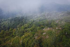 BIB: 
                            <button type="button" onclick="openModal(19592027)" class="btn btn-primary btn-sm float-right btn-popup" data-toggle="modal" data-target=".modal-high-quality">
                        <i class="fas fa-shopping-cart"></i> Add to Cart
                    </button>
                                            <button type="button" onclick="isThisMe(19592027, true)" class="btn btn-success btn-sm float-right btn-popup btn-isme hidden" data-toggle="tooltip" data-placement="bottom" title="นี่คือรูปของคุณใช่ไหม คลิกที่นี่เพื่อเอาเข้าอัลบั้ม">
                        <i class="fas fa-plus"></i> Add to album
                    </button>
                    <button type="button" onclick="isThisMe(19592027, false)" class="btn btn-warning btn-sm float-right btn-popup btn-isnotme hidden">
                        <i class="fas fa-ban"></i> Remove from album
                    </button>