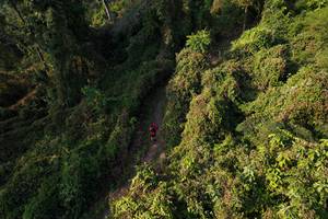 BIB: 
                            <button type="button" onclick="openModal(19592009)" class="btn btn-primary btn-sm float-right btn-popup" data-toggle="modal" data-target=".modal-high-quality">
                        <i class="fas fa-shopping-cart"></i> Add to Cart
                    </button>
                                            <button type="button" onclick="isThisMe(19592009, true)" class="btn btn-success btn-sm float-right btn-popup btn-isme hidden" data-toggle="tooltip" data-placement="bottom" title="นี่คือรูปของคุณใช่ไหม คลิกที่นี่เพื่อเอาเข้าอัลบั้ม">
                        <i class="fas fa-plus"></i> Add to album
                    </button>
                    <button type="button" onclick="isThisMe(19592009, false)" class="btn btn-warning btn-sm float-right btn-popup btn-isnotme hidden">
                        <i class="fas fa-ban"></i> Remove from album
                    </button>