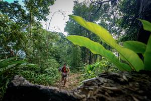 BIB: 
                            <button type="button" onclick="openModal(19592177)" class="btn btn-primary btn-sm float-right btn-popup" data-toggle="modal" data-target=".modal-high-quality">
                        <i class="fas fa-shopping-cart"></i> Add to Cart
                    </button>
                                            <button type="button" onclick="isThisMe(19592177, true)" class="btn btn-success btn-sm float-right btn-popup btn-isme hidden" data-toggle="tooltip" data-placement="bottom" title="นี่คือรูปของคุณใช่ไหม คลิกที่นี่เพื่อเอาเข้าอัลบั้ม">
                        <i class="fas fa-plus"></i> Add to album
                    </button>
                    <button type="button" onclick="isThisMe(19592177, false)" class="btn btn-warning btn-sm float-right btn-popup btn-isnotme hidden">
                        <i class="fas fa-ban"></i> Remove from album
                    </button>