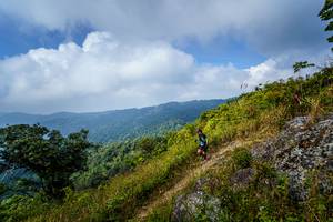 BIB: 
                            <button type="button" onclick="openModal(19592301)" class="btn btn-primary btn-sm float-right btn-popup" data-toggle="modal" data-target=".modal-high-quality">
                        <i class="fas fa-shopping-cart"></i> Add to Cart
                    </button>
                                            <button type="button" onclick="isThisMe(19592301, true)" class="btn btn-success btn-sm float-right btn-popup btn-isme hidden" data-toggle="tooltip" data-placement="bottom" title="นี่คือรูปของคุณใช่ไหม คลิกที่นี่เพื่อเอาเข้าอัลบั้ม">
                        <i class="fas fa-plus"></i> Add to album
                    </button>
                    <button type="button" onclick="isThisMe(19592301, false)" class="btn btn-warning btn-sm float-right btn-popup btn-isnotme hidden">
                        <i class="fas fa-ban"></i> Remove from album
                    </button>