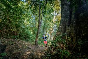 BIB: 
                            <button type="button" onclick="openModal(19592155)" class="btn btn-primary btn-sm float-right btn-popup" data-toggle="modal" data-target=".modal-high-quality">
                        <i class="fas fa-shopping-cart"></i> Add to Cart
                    </button>
                                            <button type="button" onclick="isThisMe(19592155, true)" class="btn btn-success btn-sm float-right btn-popup btn-isme hidden" data-toggle="tooltip" data-placement="bottom" title="นี่คือรูปของคุณใช่ไหม คลิกที่นี่เพื่อเอาเข้าอัลบั้ม">
                        <i class="fas fa-plus"></i> Add to album
                    </button>
                    <button type="button" onclick="isThisMe(19592155, false)" class="btn btn-warning btn-sm float-right btn-popup btn-isnotme hidden">
                        <i class="fas fa-ban"></i> Remove from album
                    </button>