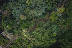 BIB: 
                            <button type="button" onclick="openModal(19592020)" class="btn btn-primary btn-sm float-right btn-popup" data-toggle="modal" data-target=".modal-high-quality">
                        <i class="fas fa-shopping-cart"></i> Add to Cart
                    </button>
                                            <button type="button" onclick="isThisMe(19592020, true)" class="btn btn-success btn-sm float-right btn-popup btn-isme hidden" data-toggle="tooltip" data-placement="bottom" title="นี่คือรูปของคุณใช่ไหม คลิกที่นี่เพื่อเอาเข้าอัลบั้ม">
                        <i class="fas fa-plus"></i> Add to album
                    </button>
                    <button type="button" onclick="isThisMe(19592020, false)" class="btn btn-warning btn-sm float-right btn-popup btn-isnotme hidden">
                        <i class="fas fa-ban"></i> Remove from album
                    </button>