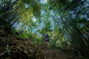 BIB: 
                            <button type="button" onclick="openModal(19592152)" class="btn btn-primary btn-sm float-right btn-popup" data-toggle="modal" data-target=".modal-high-quality">
                        <i class="fas fa-shopping-cart"></i> Add to Cart
                    </button>
                                            <button type="button" onclick="isThisMe(19592152, true)" class="btn btn-success btn-sm float-right btn-popup btn-isme hidden" data-toggle="tooltip" data-placement="bottom" title="นี่คือรูปของคุณใช่ไหม คลิกที่นี่เพื่อเอาเข้าอัลบั้ม">
                        <i class="fas fa-plus"></i> Add to album
                    </button>
                    <button type="button" onclick="isThisMe(19592152, false)" class="btn btn-warning btn-sm float-right btn-popup btn-isnotme hidden">
                        <i class="fas fa-ban"></i> Remove from album
                    </button>