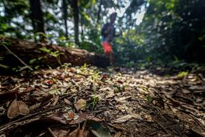 BIB: 
                            <button type="button" onclick="openModal(19592181)" class="btn btn-primary btn-sm float-right btn-popup" data-toggle="modal" data-target=".modal-high-quality">
                        <i class="fas fa-shopping-cart"></i> Add to Cart
                    </button>
                                            <button type="button" onclick="isThisMe(19592181, true)" class="btn btn-success btn-sm float-right btn-popup btn-isme hidden" data-toggle="tooltip" data-placement="bottom" title="นี่คือรูปของคุณใช่ไหม คลิกที่นี่เพื่อเอาเข้าอัลบั้ม">
                        <i class="fas fa-plus"></i> Add to album
                    </button>
                    <button type="button" onclick="isThisMe(19592181, false)" class="btn btn-warning btn-sm float-right btn-popup btn-isnotme hidden">
                        <i class="fas fa-ban"></i> Remove from album
                    </button>