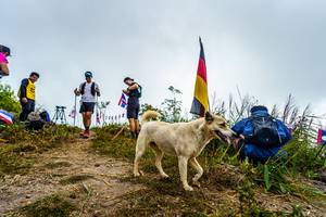 BIB: 
                            <button type="button" onclick="openModal(19592215)" class="btn btn-primary btn-sm float-right btn-popup" data-toggle="modal" data-target=".modal-high-quality">
                        <i class="fas fa-shopping-cart"></i> Add to Cart
                    </button>
                                            <button type="button" onclick="isThisMe(19592215, true)" class="btn btn-success btn-sm float-right btn-popup btn-isme hidden" data-toggle="tooltip" data-placement="bottom" title="นี่คือรูปของคุณใช่ไหม คลิกที่นี่เพื่อเอาเข้าอัลบั้ม">
                        <i class="fas fa-plus"></i> Add to album
                    </button>
                    <button type="button" onclick="isThisMe(19592215, false)" class="btn btn-warning btn-sm float-right btn-popup btn-isnotme hidden">
                        <i class="fas fa-ban"></i> Remove from album
                    </button>