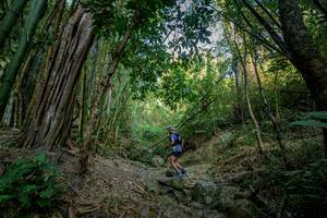 BIB: 
                            <button type="button" onclick="openModal(19592136)" class="btn btn-primary btn-sm float-right btn-popup" data-toggle="modal" data-target=".modal-high-quality">
                        <i class="fas fa-shopping-cart"></i> Add to Cart
                    </button>
                                            <button type="button" onclick="isThisMe(19592136, true)" class="btn btn-success btn-sm float-right btn-popup btn-isme hidden" data-toggle="tooltip" data-placement="bottom" title="นี่คือรูปของคุณใช่ไหม คลิกที่นี่เพื่อเอาเข้าอัลบั้ม">
                        <i class="fas fa-plus"></i> Add to album
                    </button>
                    <button type="button" onclick="isThisMe(19592136, false)" class="btn btn-warning btn-sm float-right btn-popup btn-isnotme hidden">
                        <i class="fas fa-ban"></i> Remove from album
                    </button>