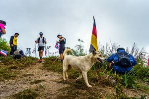 BIB: 
                            <button type="button" onclick="openModal(19592216)" class="btn btn-primary btn-sm float-right btn-popup" data-toggle="modal" data-target=".modal-high-quality">
                        <i class="fas fa-shopping-cart"></i> Add to Cart
                    </button>
                                            <button type="button" onclick="isThisMe(19592216, true)" class="btn btn-success btn-sm float-right btn-popup btn-isme hidden" data-toggle="tooltip" data-placement="bottom" title="นี่คือรูปของคุณใช่ไหม คลิกที่นี่เพื่อเอาเข้าอัลบั้ม">
                        <i class="fas fa-plus"></i> Add to album
                    </button>
                    <button type="button" onclick="isThisMe(19592216, false)" class="btn btn-warning btn-sm float-right btn-popup btn-isnotme hidden">
                        <i class="fas fa-ban"></i> Remove from album
                    </button>