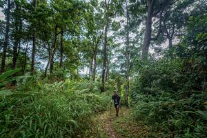 BIB: 
                            <button type="button" onclick="openModal(19592184)" class="btn btn-primary btn-sm float-right btn-popup" data-toggle="modal" data-target=".modal-high-quality">
                        <i class="fas fa-shopping-cart"></i> Add to Cart
                    </button>
                                            <button type="button" onclick="isThisMe(19592184, true)" class="btn btn-success btn-sm float-right btn-popup btn-isme hidden" data-toggle="tooltip" data-placement="bottom" title="นี่คือรูปของคุณใช่ไหม คลิกที่นี่เพื่อเอาเข้าอัลบั้ม">
                        <i class="fas fa-plus"></i> Add to album
                    </button>
                    <button type="button" onclick="isThisMe(19592184, false)" class="btn btn-warning btn-sm float-right btn-popup btn-isnotme hidden">
                        <i class="fas fa-ban"></i> Remove from album
                    </button>