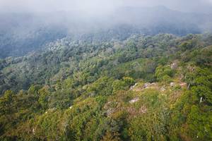 BIB: 
                            <button type="button" onclick="openModal(19592030)" class="btn btn-primary btn-sm float-right btn-popup" data-toggle="modal" data-target=".modal-high-quality">
                        <i class="fas fa-shopping-cart"></i> Add to Cart
                    </button>
                                            <button type="button" onclick="isThisMe(19592030, true)" class="btn btn-success btn-sm float-right btn-popup btn-isme hidden" data-toggle="tooltip" data-placement="bottom" title="นี่คือรูปของคุณใช่ไหม คลิกที่นี่เพื่อเอาเข้าอัลบั้ม">
                        <i class="fas fa-plus"></i> Add to album
                    </button>
                    <button type="button" onclick="isThisMe(19592030, false)" class="btn btn-warning btn-sm float-right btn-popup btn-isnotme hidden">
                        <i class="fas fa-ban"></i> Remove from album
                    </button>