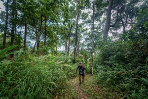 BIB: 
                            <button type="button" onclick="openModal(19592185)" class="btn btn-primary btn-sm float-right btn-popup" data-toggle="modal" data-target=".modal-high-quality">
                        <i class="fas fa-shopping-cart"></i> Add to Cart
                    </button>
                                            <button type="button" onclick="isThisMe(19592185, true)" class="btn btn-success btn-sm float-right btn-popup btn-isme hidden" data-toggle="tooltip" data-placement="bottom" title="นี่คือรูปของคุณใช่ไหม คลิกที่นี่เพื่อเอาเข้าอัลบั้ม">
                        <i class="fas fa-plus"></i> Add to album
                    </button>
                    <button type="button" onclick="isThisMe(19592185, false)" class="btn btn-warning btn-sm float-right btn-popup btn-isnotme hidden">
                        <i class="fas fa-ban"></i> Remove from album
                    </button>